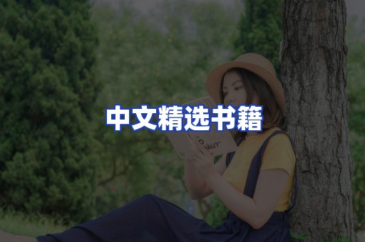 中文精选书籍