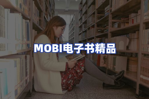 外文电子书产品
